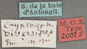 Media type: image; Entomology 20025   Aspect: labels